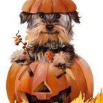 Thanksgiving Wishes For YOU