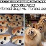 Sunday Funnies, If You’re Not Offended…