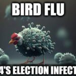 Bird Flu Redux 2024 Version