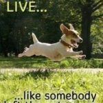 Sunday Funnies, If You’re Not Offended…